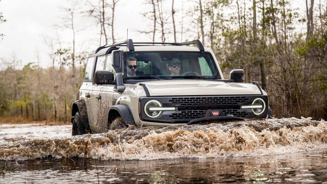 Ford Bronco Everglades	