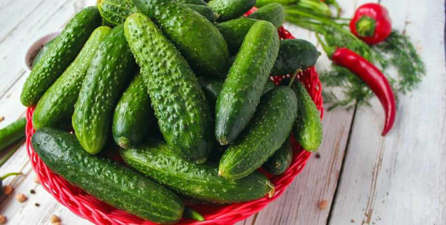 Краставица