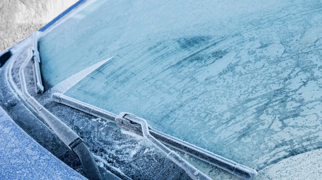 Краставица