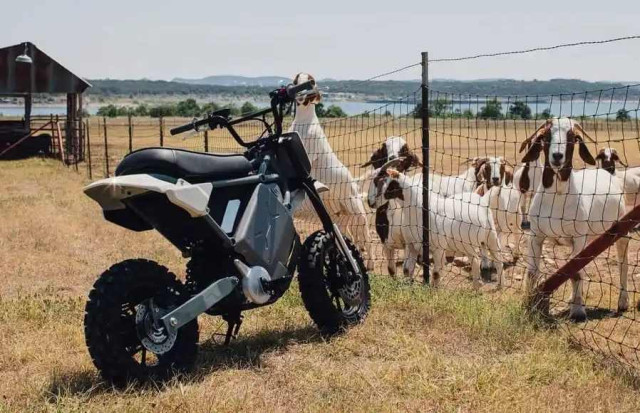 LiveWire S4 Honcho Trail