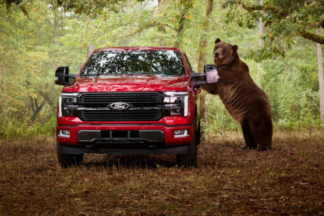 Ford F-150 срещу мечка 