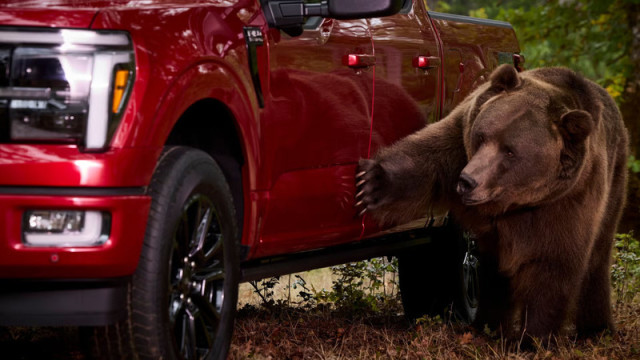 Ford F-150 срещу мечка 
