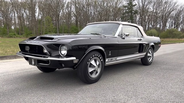 Raven Black 1968 Shelby Mustang GT350.-1