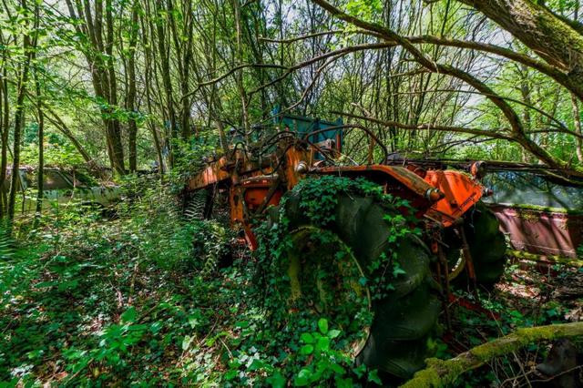 Гробище на автомобили-1