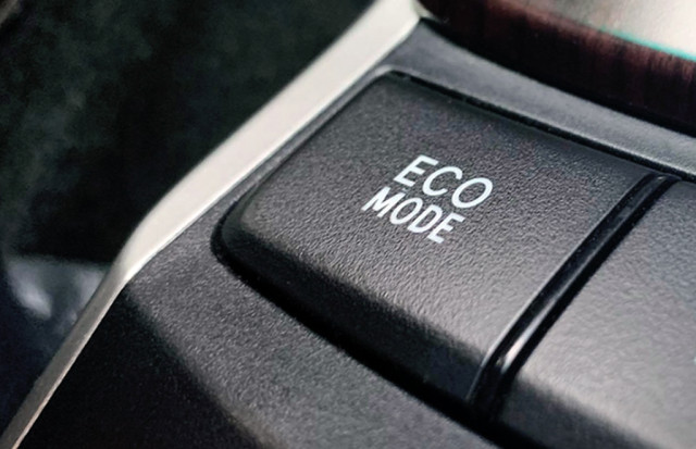 eco